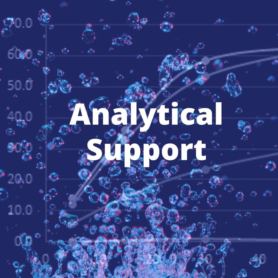 Analytical Support Button.2